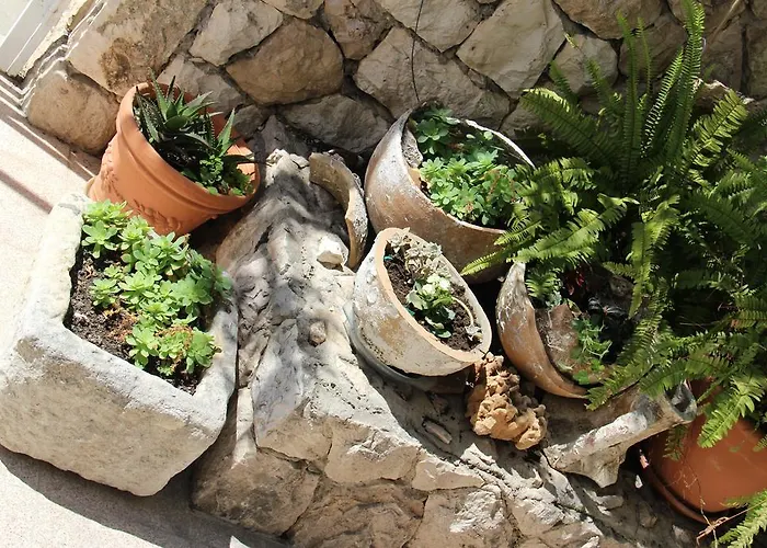 아파트먼트 타시나 아파트 *