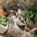 تاسينا شقة *